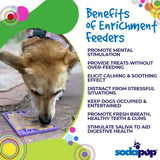 Sodapup Groovy Love Enrichment Lick Mat