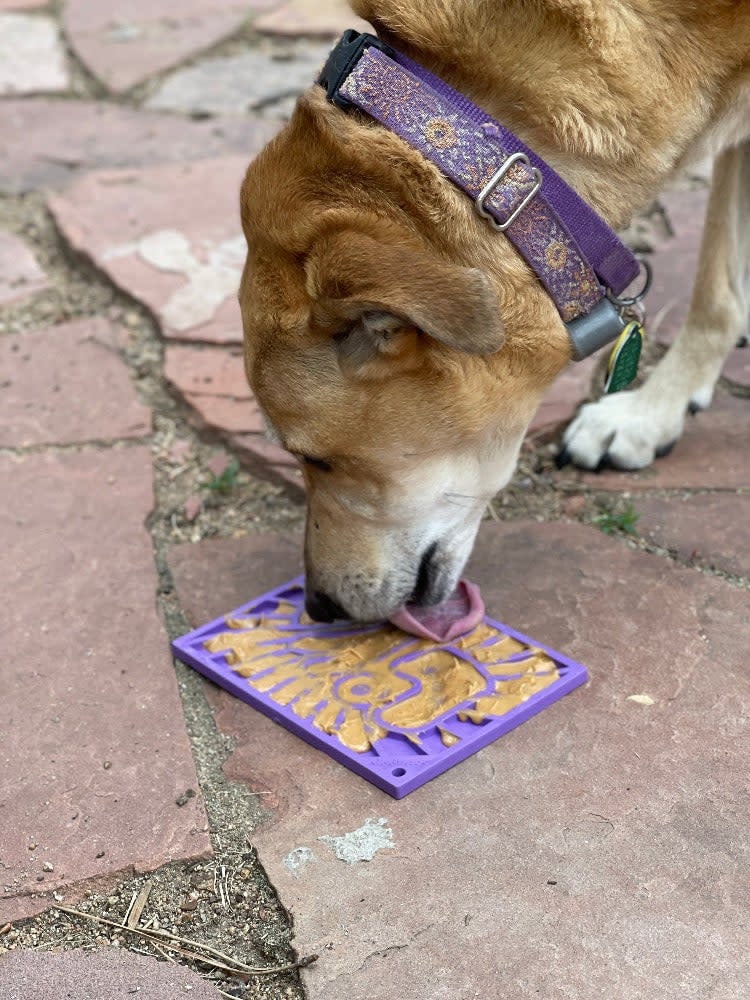 Sodapup Groovy Love Enrichment Lick Mat