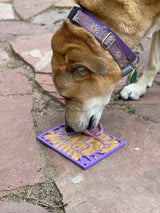 Sodapup Groovy Love Enrichment Lick Mat