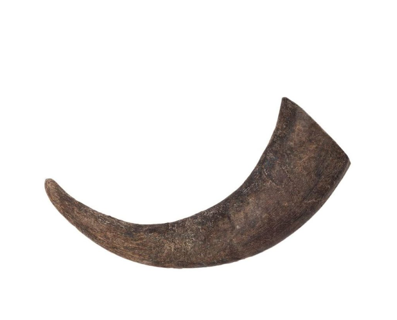 STASH BUBA CHEWS LONGHORN