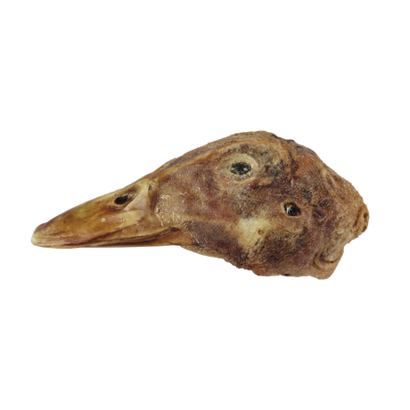 BULK - DUCK HEAD