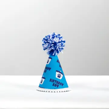 Blue cone party hat with blue pom-pom and “Birthday Boy” print