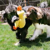 KONG Comfort Jumbo Squeaky Duck Plush Dog Toy, Assorted Colors