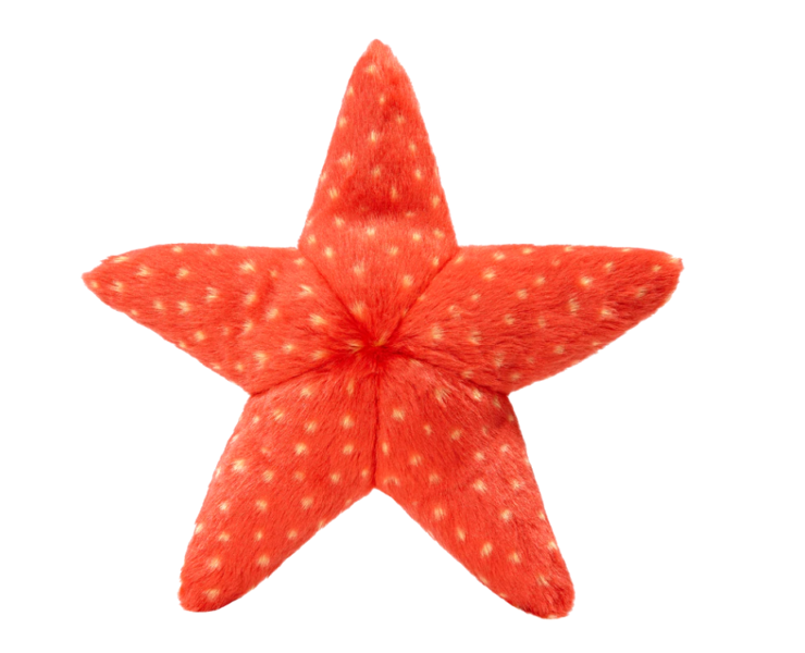 FLUFF AND TUFF ZIGGY STARFISH