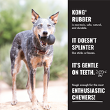 KONG Extreme Flyer Dog Toy