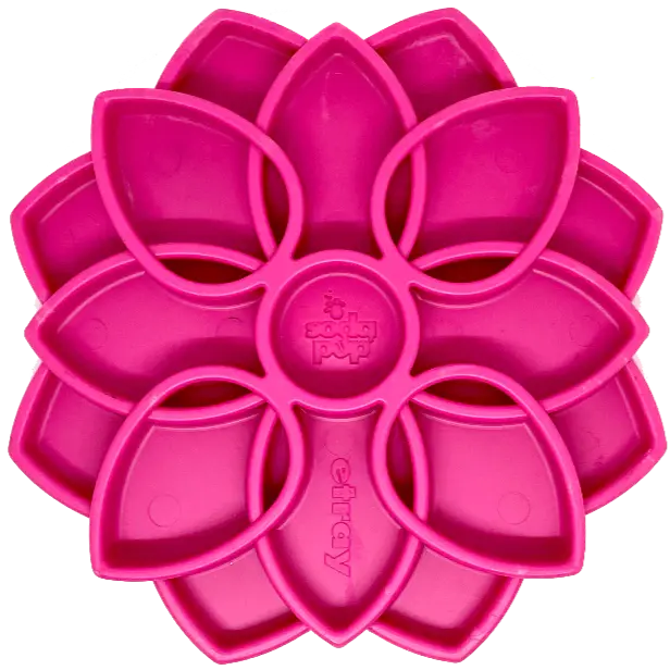 Sodapup Mandala Enrichment Tray