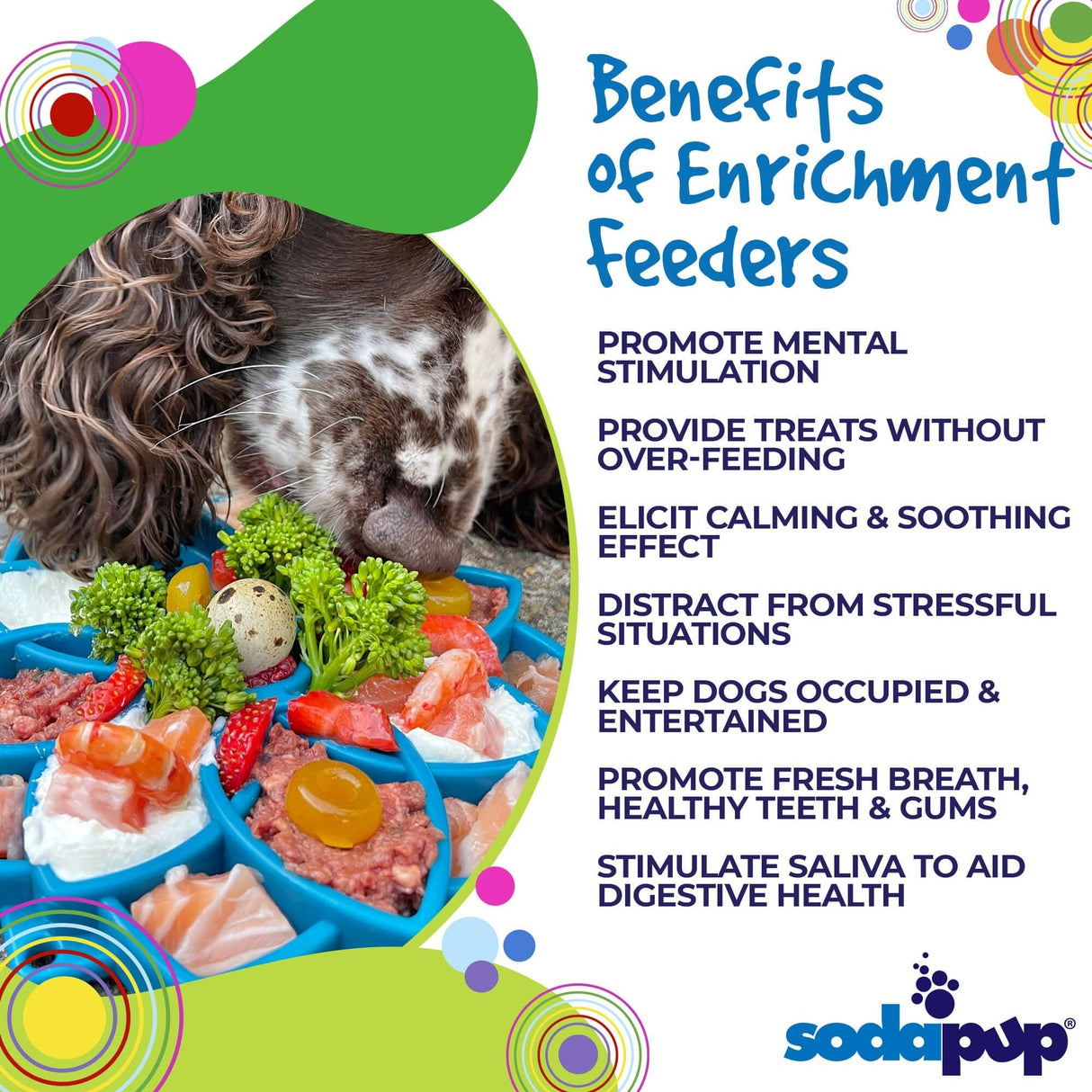 Sodapup Mandala Enrichment Tray
