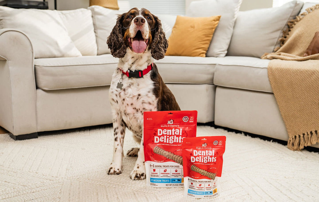STELLA AND CHEWYS DENTAL DELIGHTS MEDIUM
