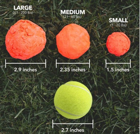 WUNDERBALL