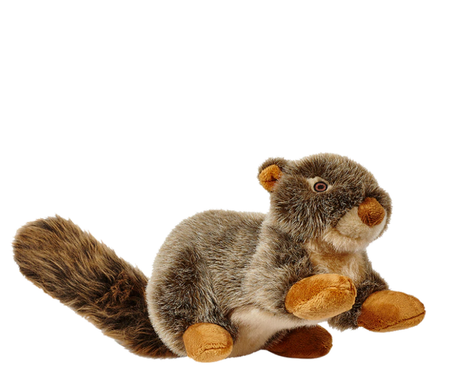 FLUFF AND TUFF NUTS SQUIRREL
