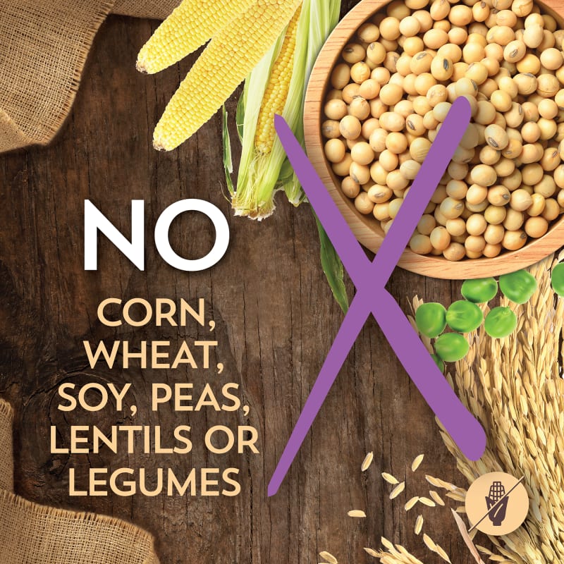 Wholesomes Sensitive Skin and Stomach Lamb and Rice Recipe 30LB