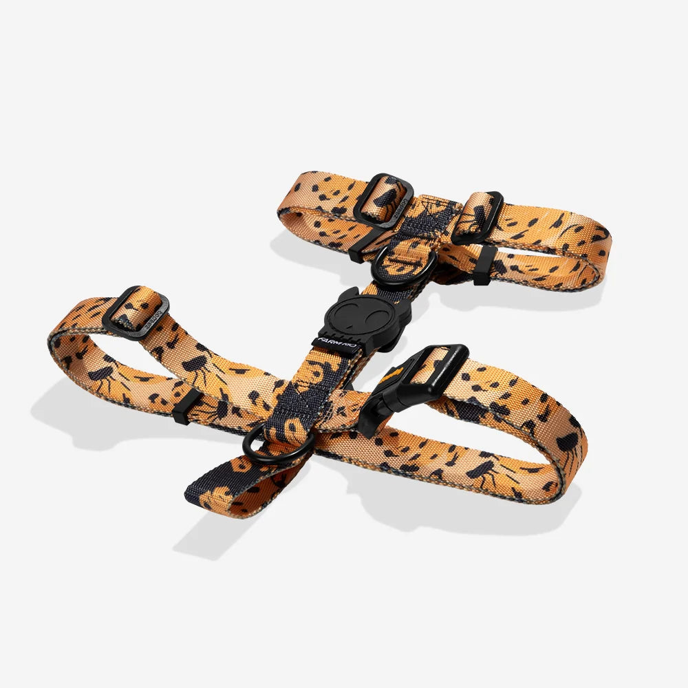 Cat harness with orange leopard print and black buckles, adjustable straps.