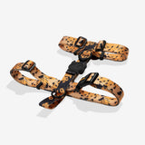 Cat harness with orange leopard print and black buckles, adjustable straps.