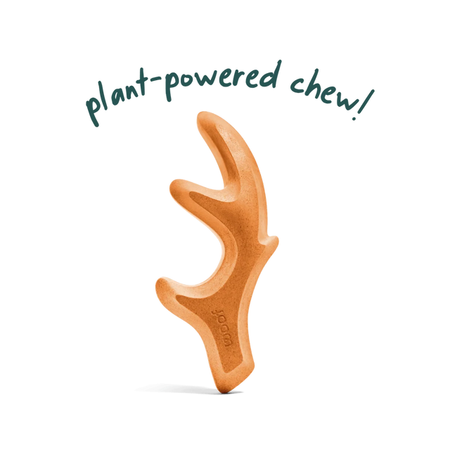 HonestChew chew toy, bone/antler shape with ridged surface