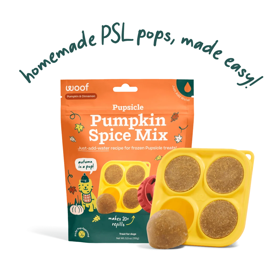 Woof Pupsicle Pumpkin Spice Mix bag with yellow mold and four frozen pumpkin treats