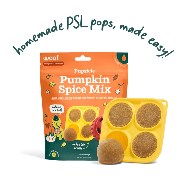 Woof Pupsicle Pumpkin Spice Mix bag with yellow mold and four frozen pumpkin treats