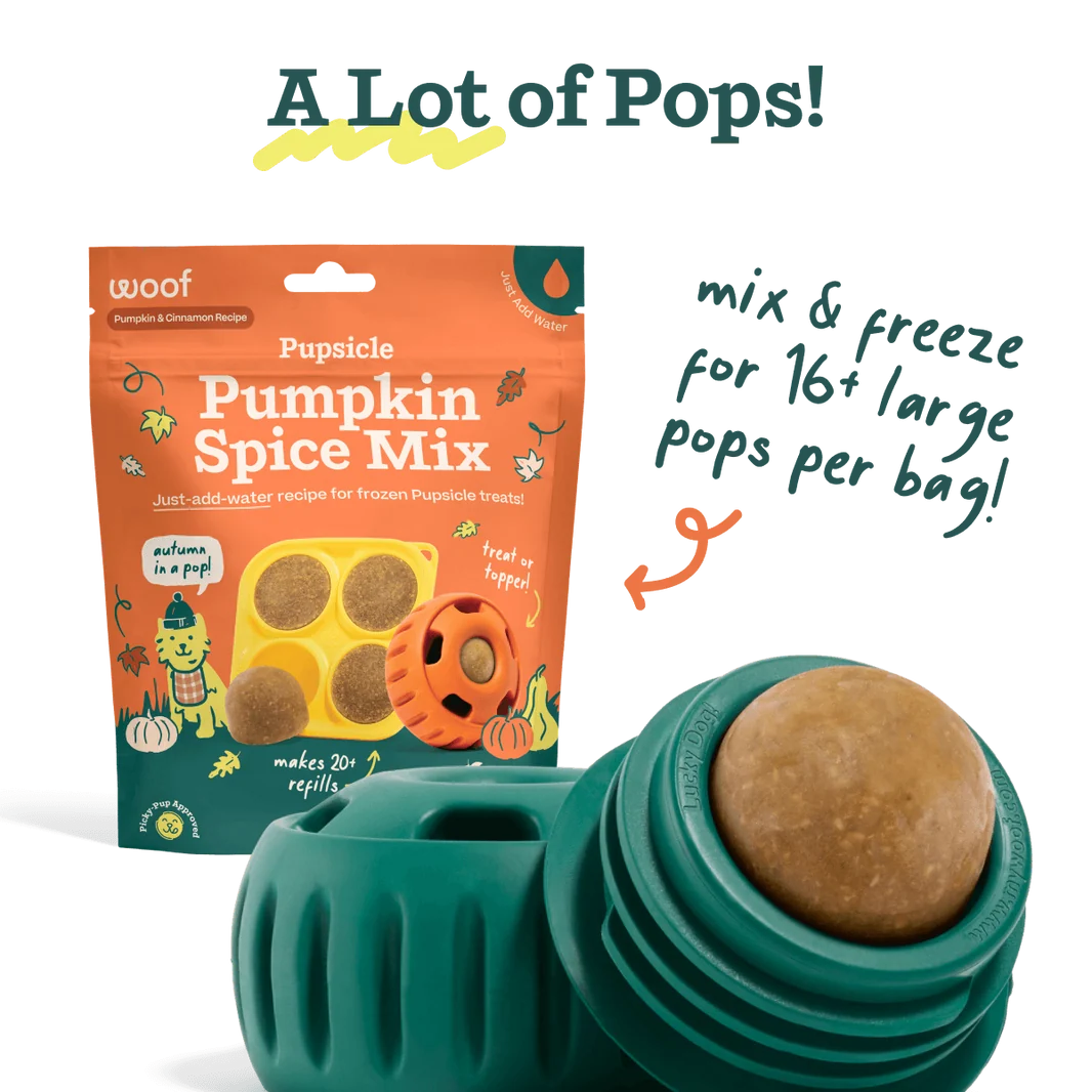 Woof Pupsicle Pumpkin Spice Mix bag with teal dispenser and single frozen treat