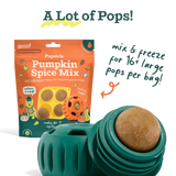 Woof Pupsicle Pumpkin Spice Mix bag with teal dispenser and single frozen treat