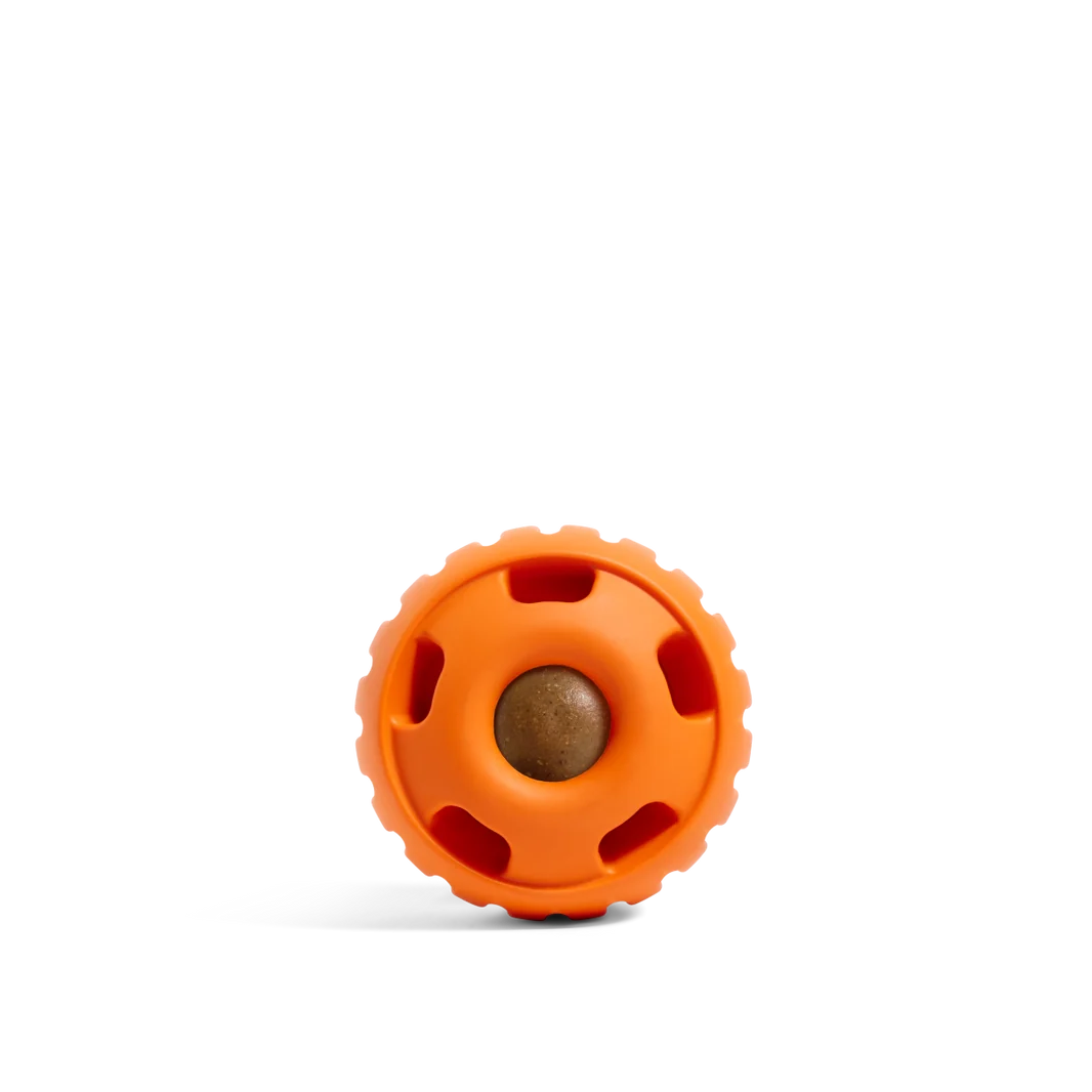 Orange round dog toy with textured ring, holes, and a center ball