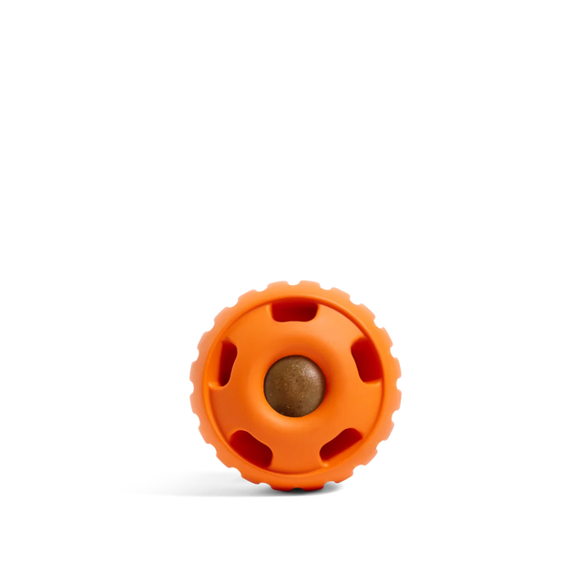 Orange round dog toy with textured ring, holes, and a center ball
