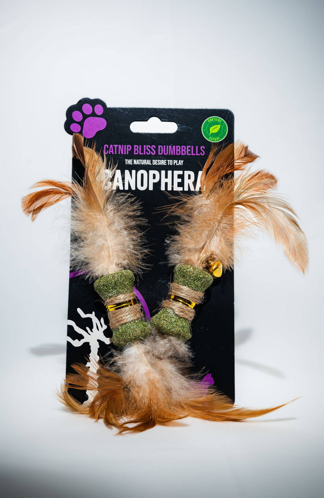 Canophera catnip bliss dumbbell cat toys (2-pack): green fuzzy with feather tails, purple tips