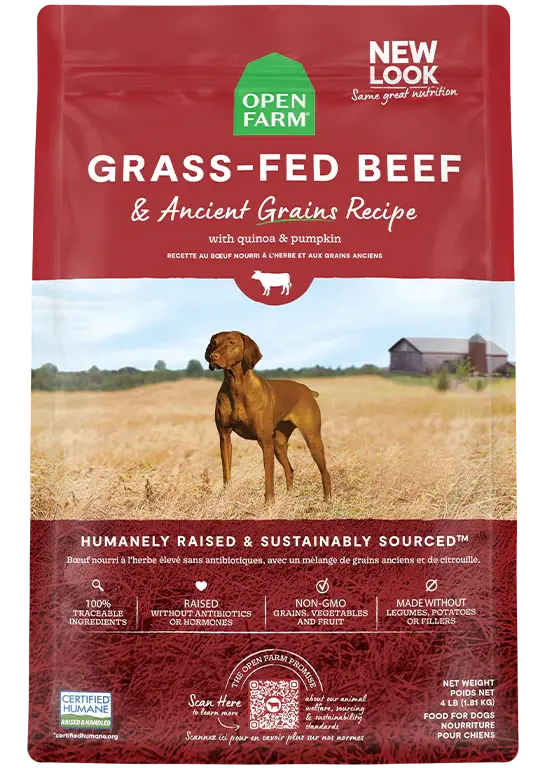 OPEN FARM GRAIN IN BEEF