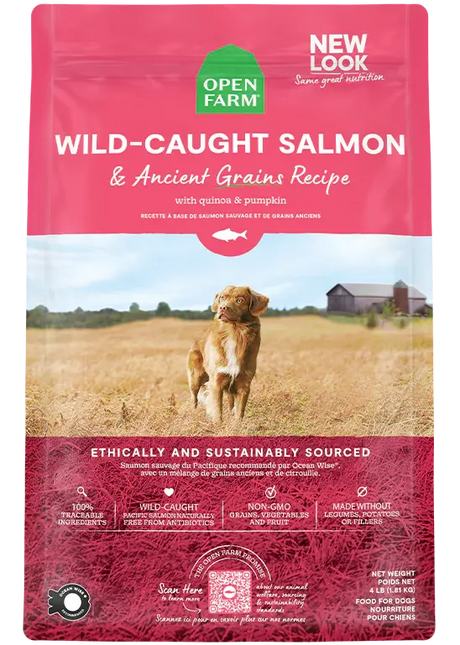 OPEN FARM GRAIN IN SALMON