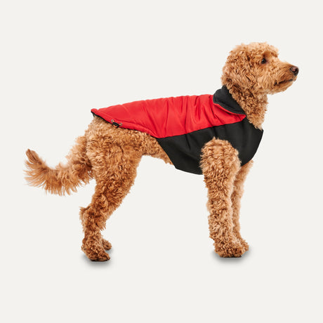 Goo-eez Mock Neck Winter Jacket - Red