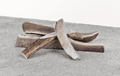 PRIMAL ANTLER STAG