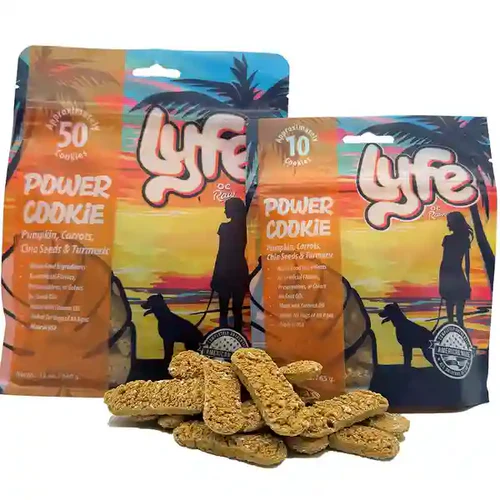 OC RAW LYFE POWER COOKIES PUMPKIN AND CHIA SEEDS 2.3OZ