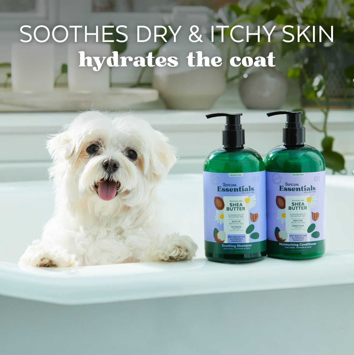 TropiClean Essentials Shea Butter Shampoo for Dogs, Puppies, and Cats