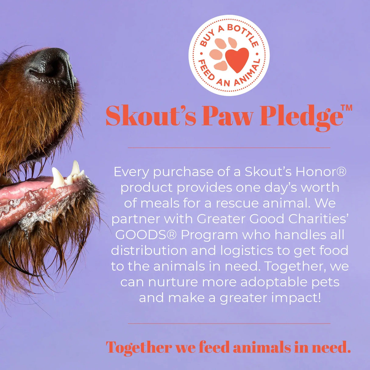 Skout's Honor Water Additive Peanut Butter and Bacon Flavor