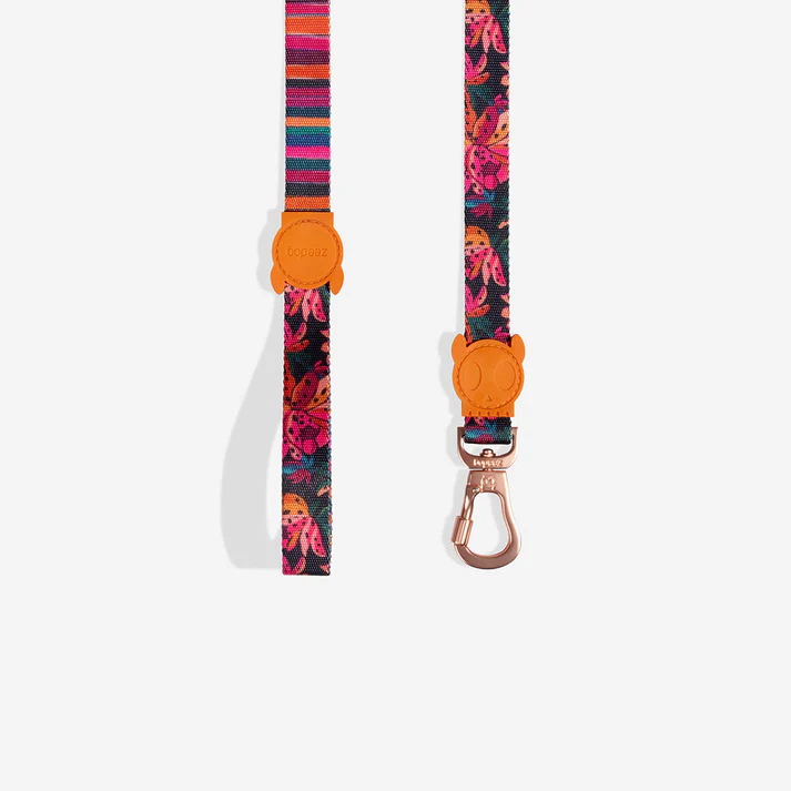 Zee Dog Leashes for Dogs