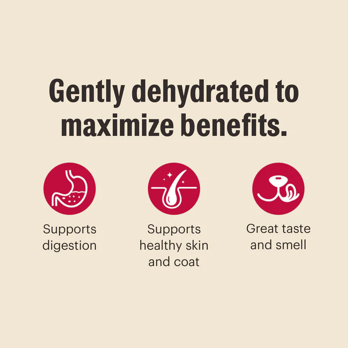 The Honest Kitchen Wholemade Grain Free Chicken Recipe Dehydrated Dog Food