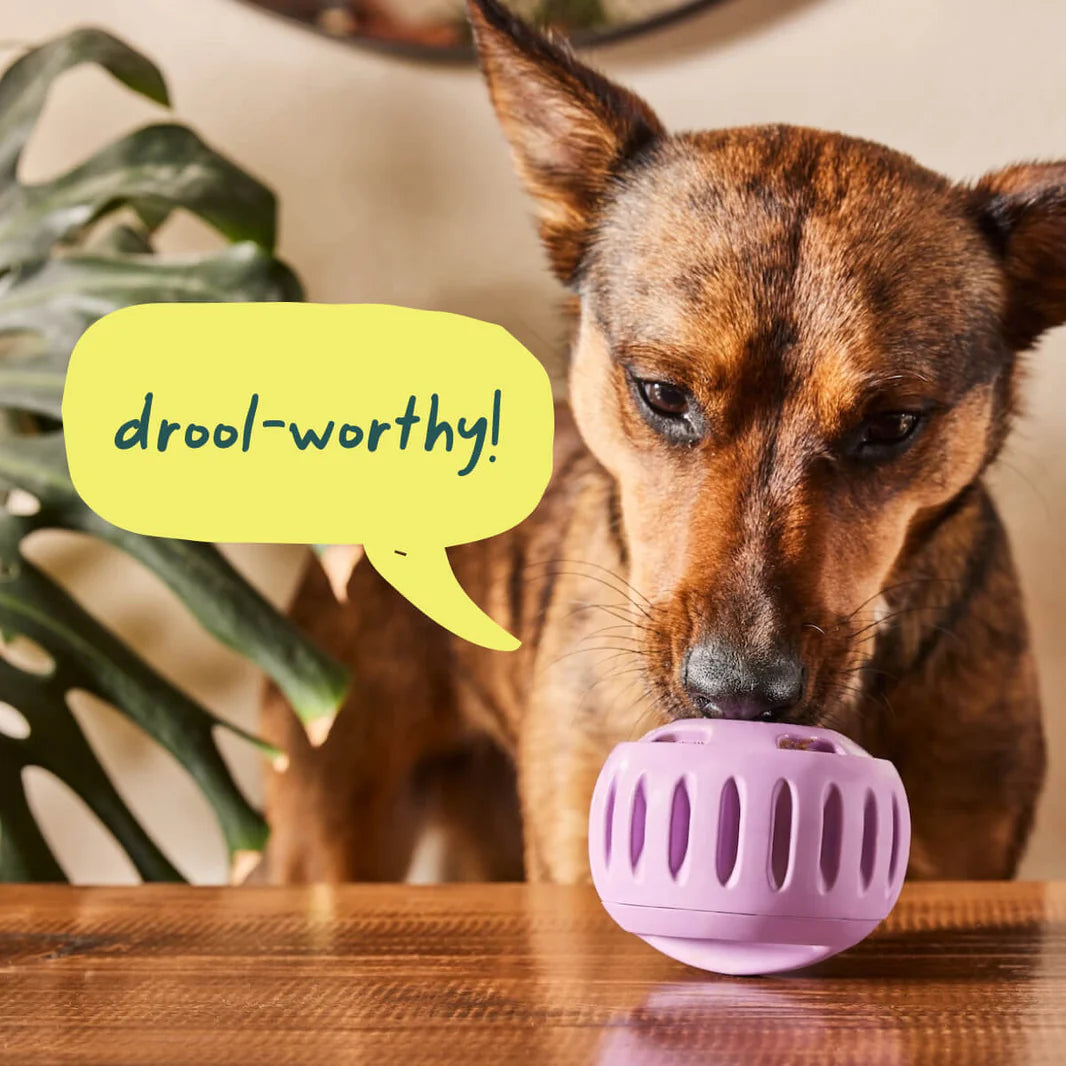 Woof Pupsicle Dog Toy - Forest Green