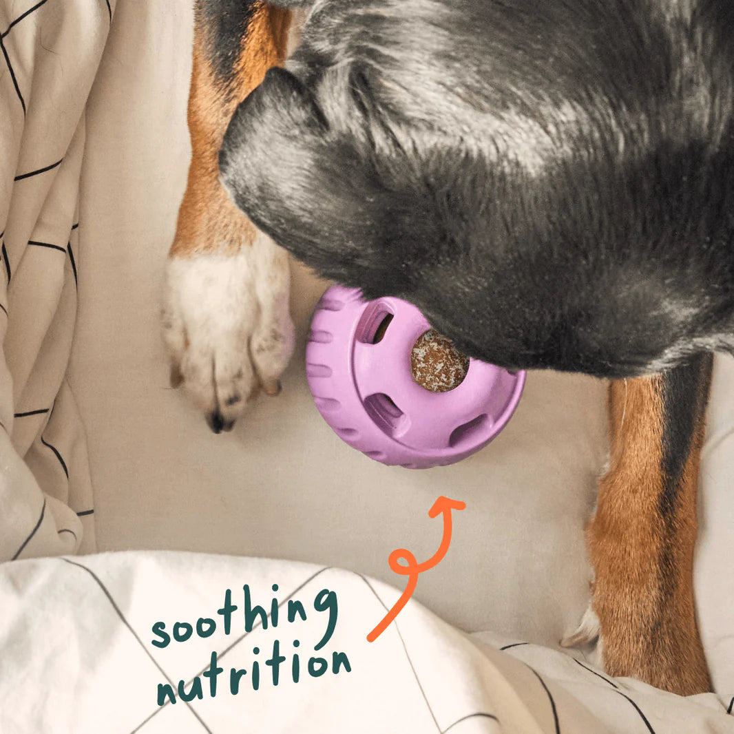 Woof Pupsicle Pops Refills Calming Beef