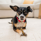 STELLA AND CHEWYS DENTAL DELIGHTS EXTRA SMALL