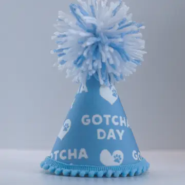 Light blue cone party hat with white pom-pom and “Gotcha Day” text