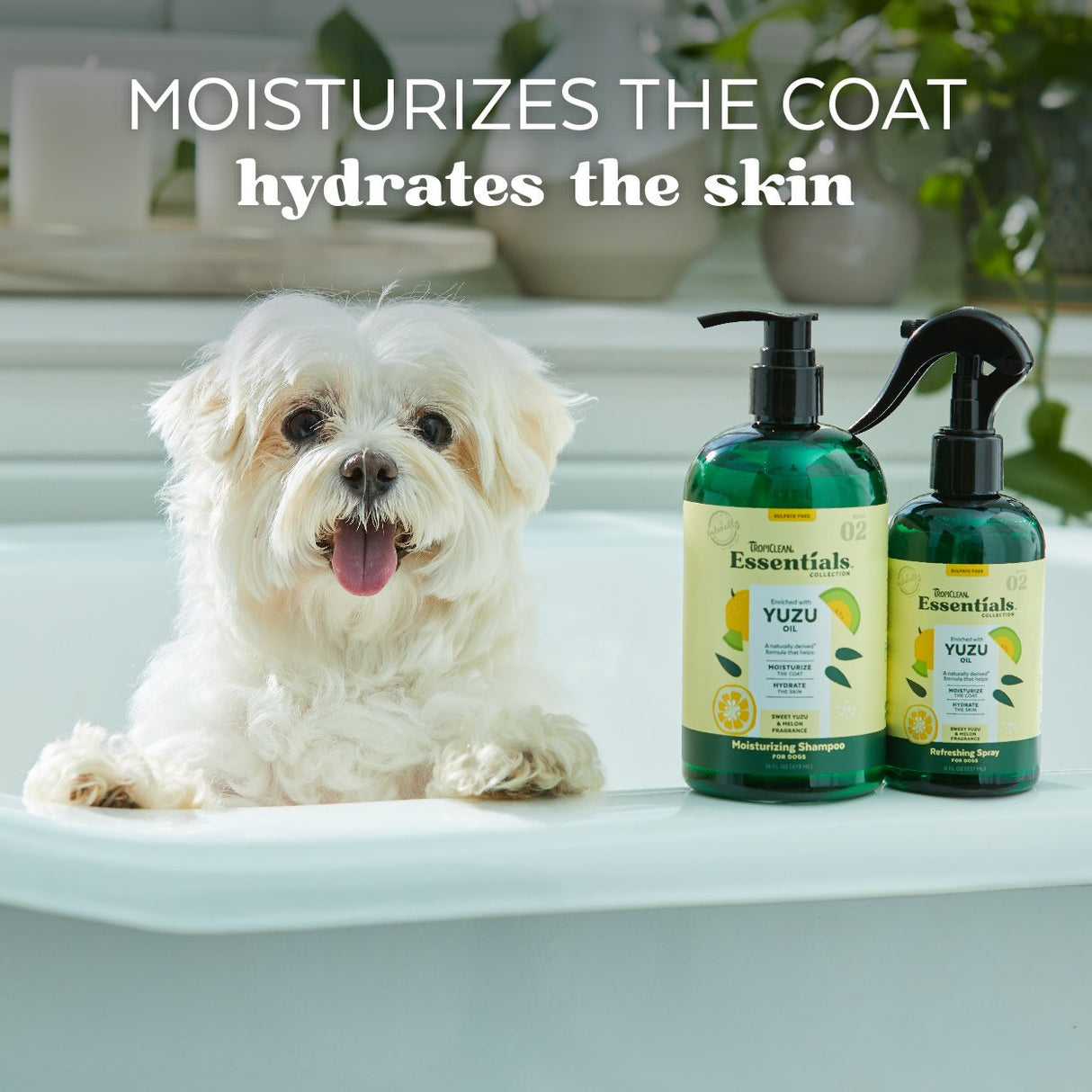 TropiClean Essentials Yuzu Fruit Shampoo for Dogs