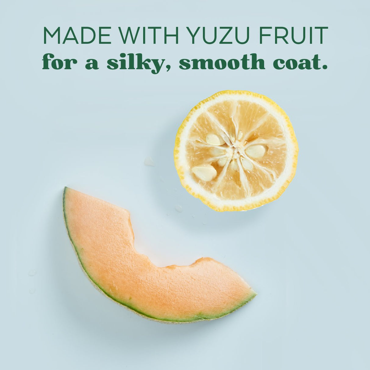 TropiClean Essentials Yuzu Fruit Shampoo for Dogs
